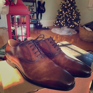 Steve Madden Matador oxfords